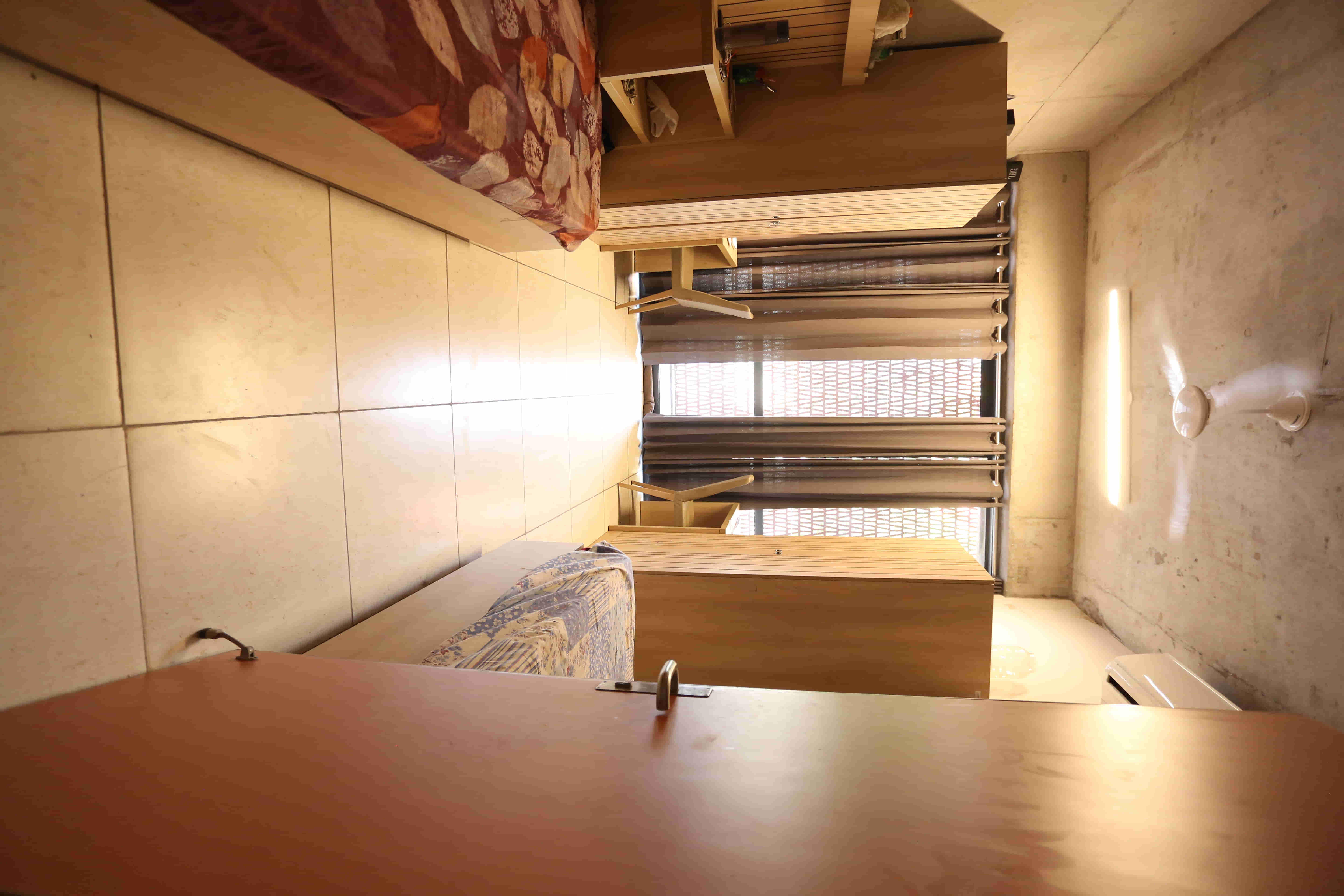 Thapar School of Liberal Arts & Sciences Patiala Campus photo 12